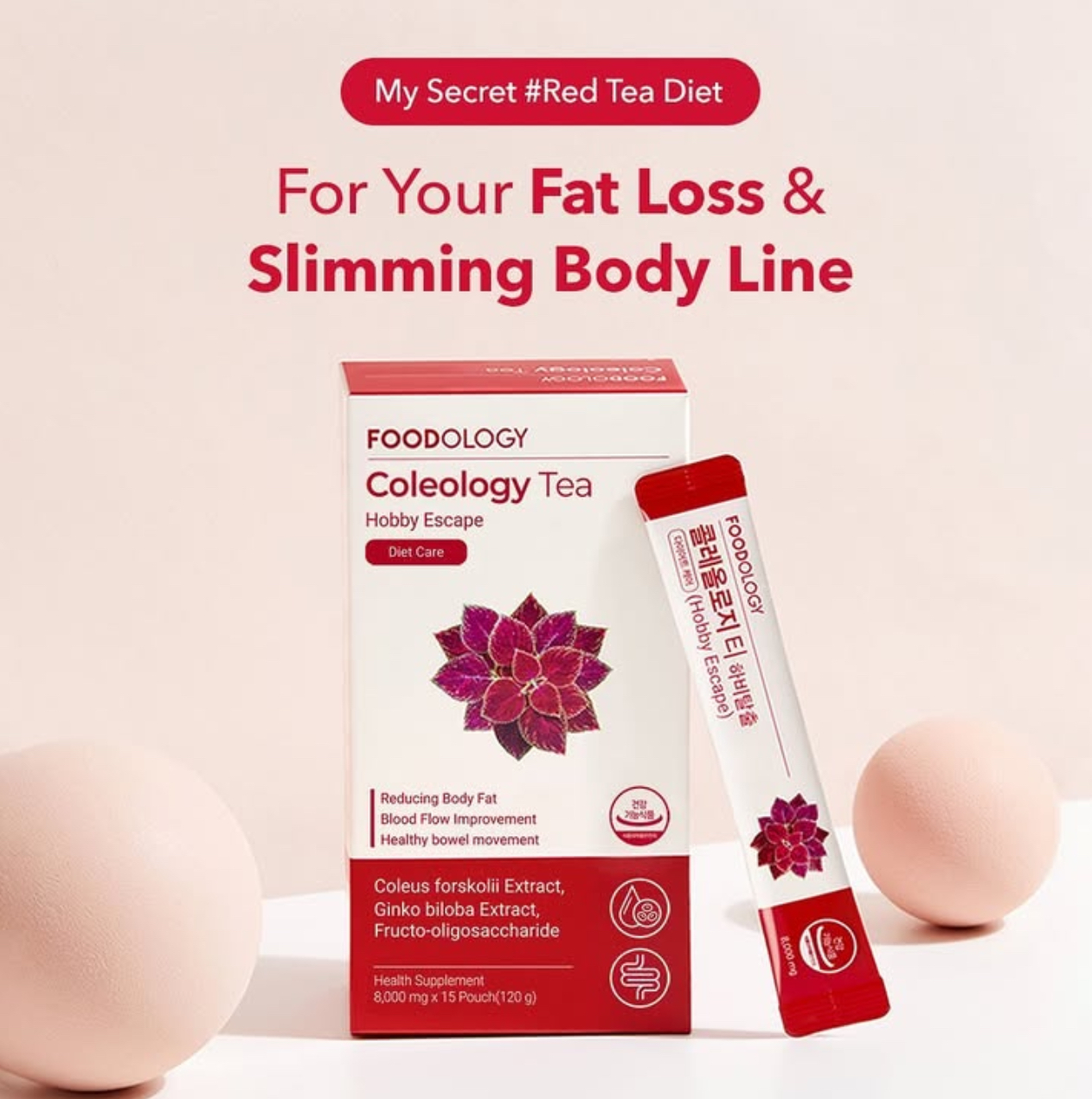 old version FOODOLOGY COLEOLOGY TEA (15 bustina) + FOODOLOGY BOTTLE 500ml (SET) - Figura 4